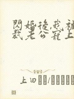 闪婚后,我被总裁老公宠上天封面