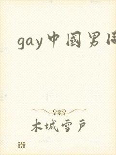 gay中国男同