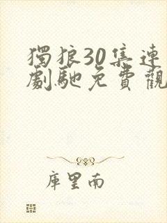 独狼30集连续剧驰免费观看封面