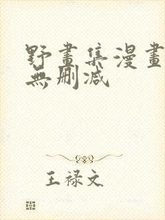 野画集漫画免费无删减封面
