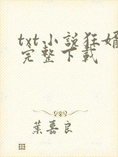 txt小说狂婿完整下载