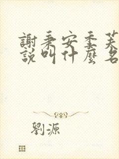 谢秉安季芙卿小说叫什么名字啊