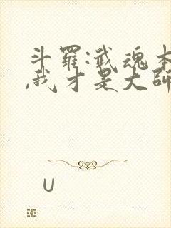 斗罗:武魂本体,我才是大师免费阅读封面
