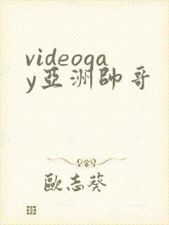 videogay亚洲帅哥封面