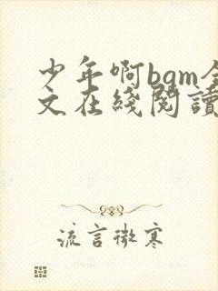 少年啊bgm全文在线阅读笔趣阁