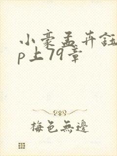 小豪孟卉钰慧三p上79章