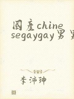 国产chinesegaygay男男网站封面