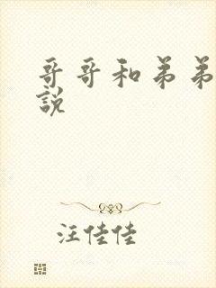哥哥和弟弟h小说