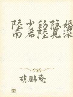 陆少的隐婚罪妻南希陆见深