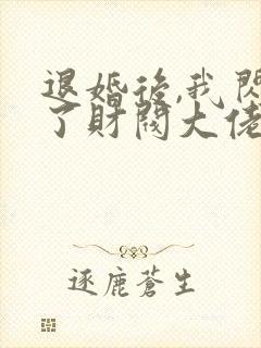 退婚后,我闪婚了财阀大佬