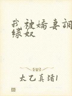 我被娇妻调教成绿奴