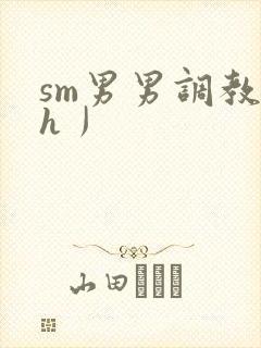sm男男调教〈h丿封面