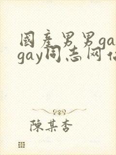 国产男男gaygay同志网站