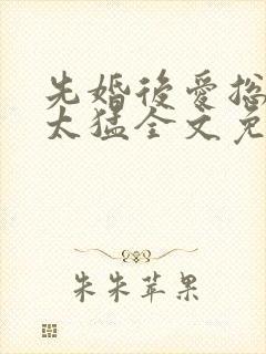 先婚后爱总裁别太猛全文免费阅读