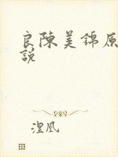 良陈美锦原著小说封面