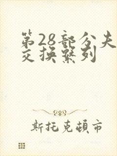第28部分夫妇交换系列