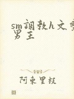 sm调教h文双男主