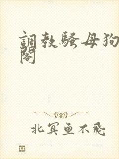 调教骚母狗笔趣阁