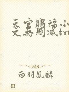 天官赐福小说全文无删减txt下载