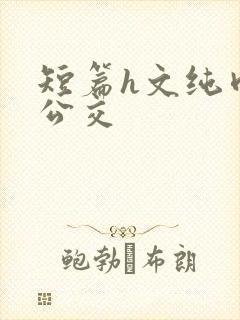 短篇h文纯肉合公交