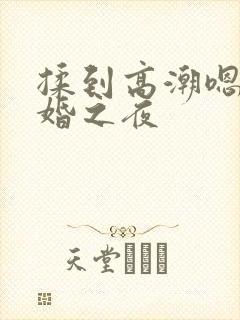 揉到高潮嗯啊新婚之夜