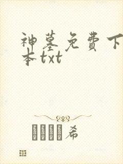 神墓免费下载全本txt