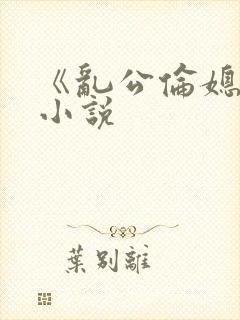 《乱公伦媳》的小说