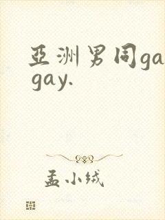 亚洲男同gay gay.