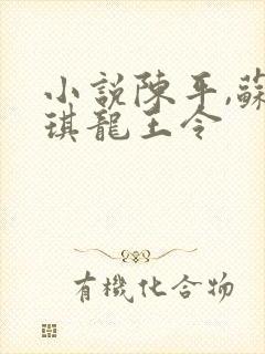 小说陈平,苏雨琪龙王令封面