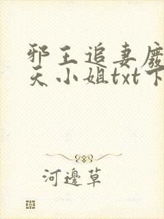 邪王追妻废材逆天小姐txt下载