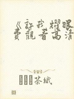 《许我耀眼》免费观看高清全集电视剧封面