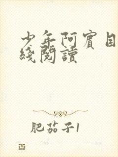 少年阿宾目录在线阅读