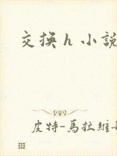 交换 h 小说