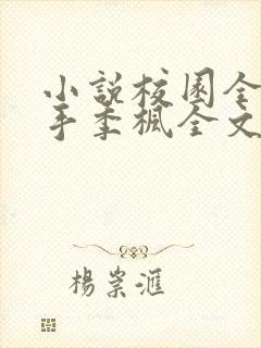 小说校园全能高手季枫全文阅