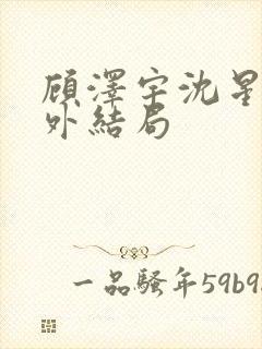 顾泽宇沈星晚番外结局