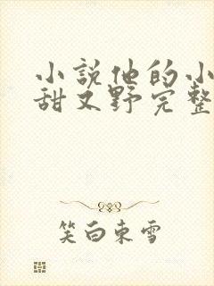 小说他的小祖宗甜又野完整版