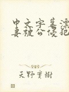 中文字幕漂亮人妻被公侵犯封面