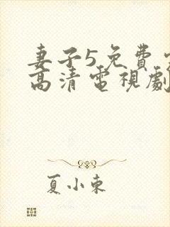 妻子5免费完整高清电视剧在线观看封面