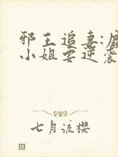 邪王追妻:废柴小姐要逆袭小说txt
