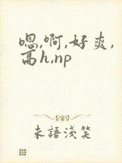 嗯,啊,好爽,高h,np