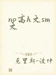 np高h文sm文
