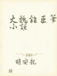 大魏能臣笔趣阁小说