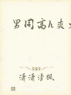 男同高h爽文封面