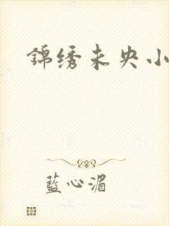 锦绣未央小说