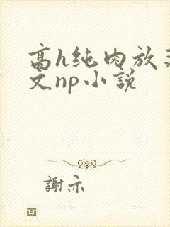 高h纯肉放荡h文np小说