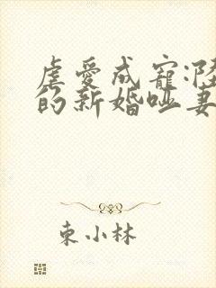 虐爱成宠:陆总的新婚哑妻完结版