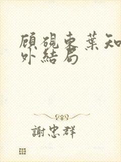 顾砚东叶知安番外结局