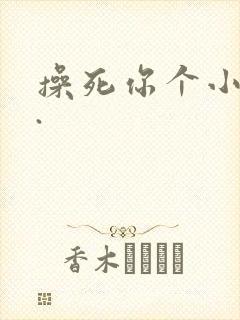 操死你个小骚货.
