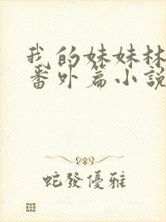 我的妹妹林茜茜番外篇小说全文阅读