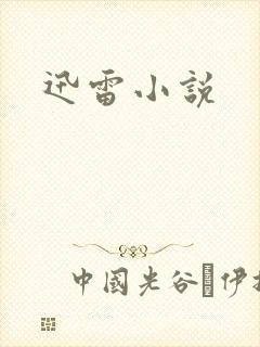 迅雷小说